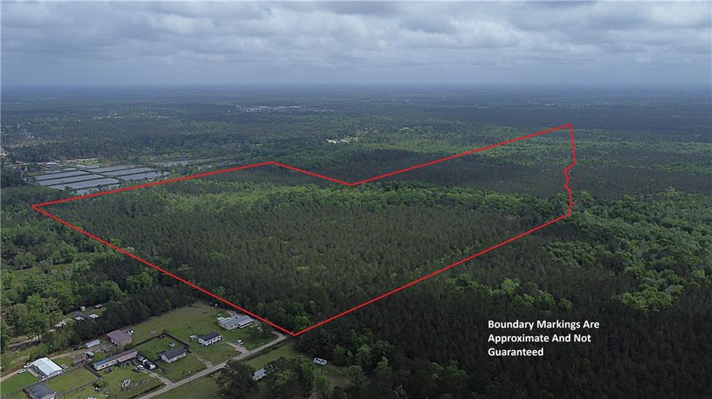 135 Acres BELLE WOODS Drive