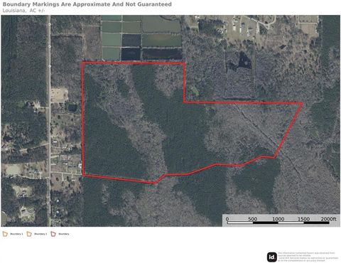 135 Acres BELLE WOODS Drive Holden LA 70744