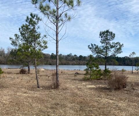Photo 1 of 3 — Lot 141 SHORE DR. Drive, Franklinton, LA 70438