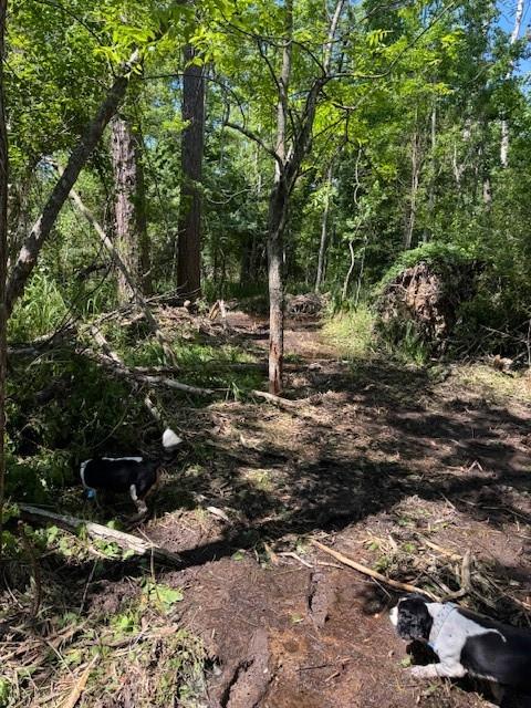 0 COPAL & DAVID DR. Street