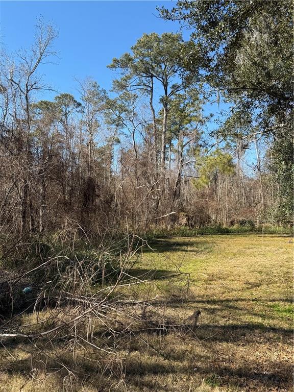 0 COPAL & DAVID DR. Street