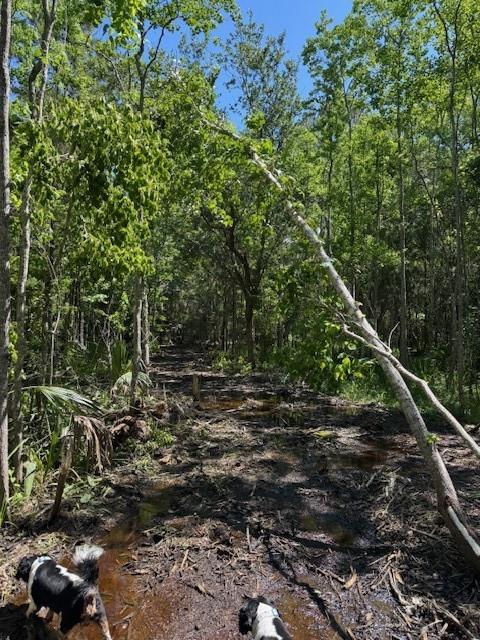 0 COPAL & DAVID DR. Street