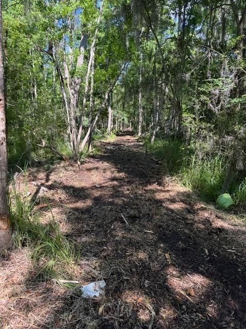 0 COPAL & DAVID DR. Street Mandeville LA 70448