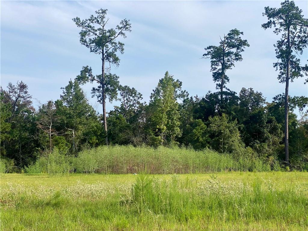 Covington, Louisiana 70433, United States, ,Land,Pending,46327