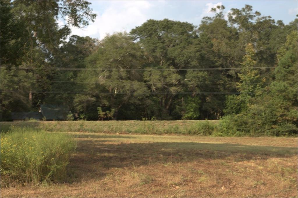LONNIE DUNCAN Road