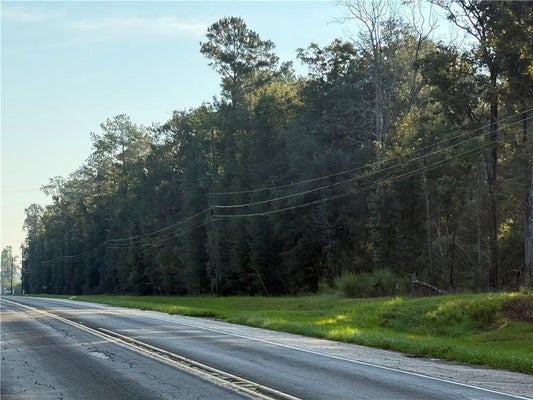 STATE RTE 16, AMITE, LA 70422 - Image 8e7a69639ee2a3a529fdef3d1fe5e452/479255476