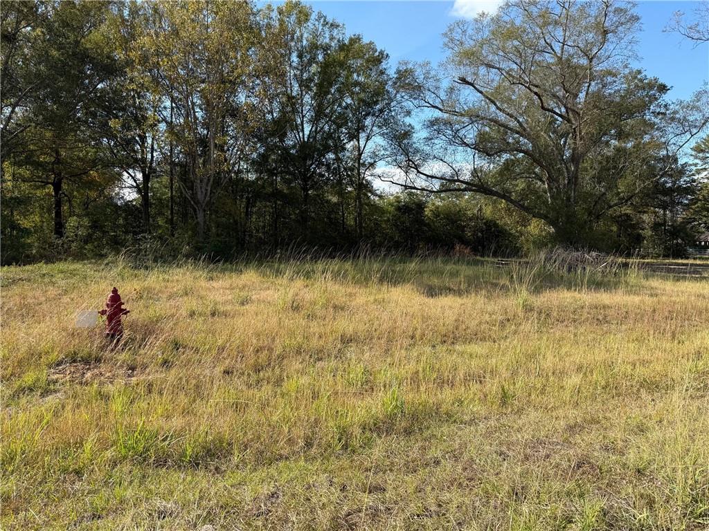 43503 SPRINGWOOD Way