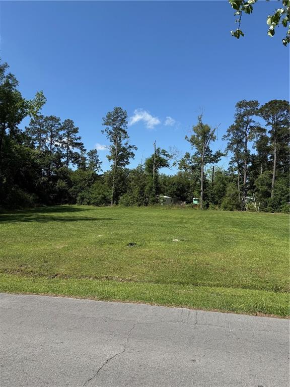 TBD ELMWOOD Boulevard