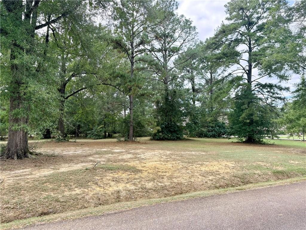 307 CHINAWOOD Drive