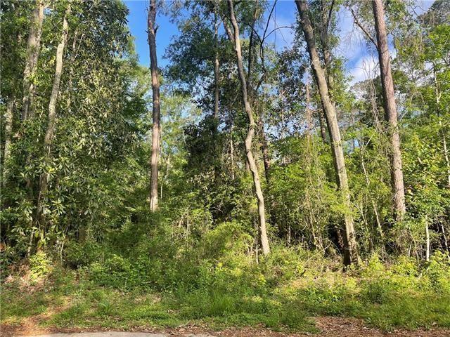Lot 2,3,4 BEECHWOOD Drive