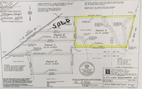 Parcel  E HWY 437 Covington LA 70435