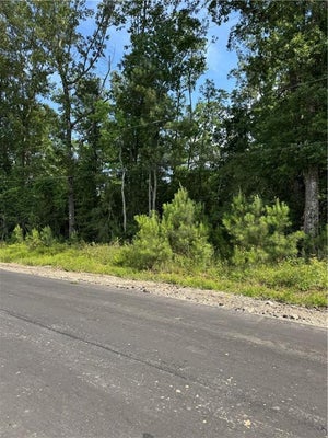 LOWER ROME RD, SPRINGFIELD, LA 70462 - Image 95ee4e101a7243c4ddacbc19ad730453/916545636