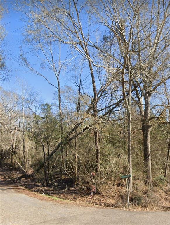 B-2 OLAN BANKSTON Road