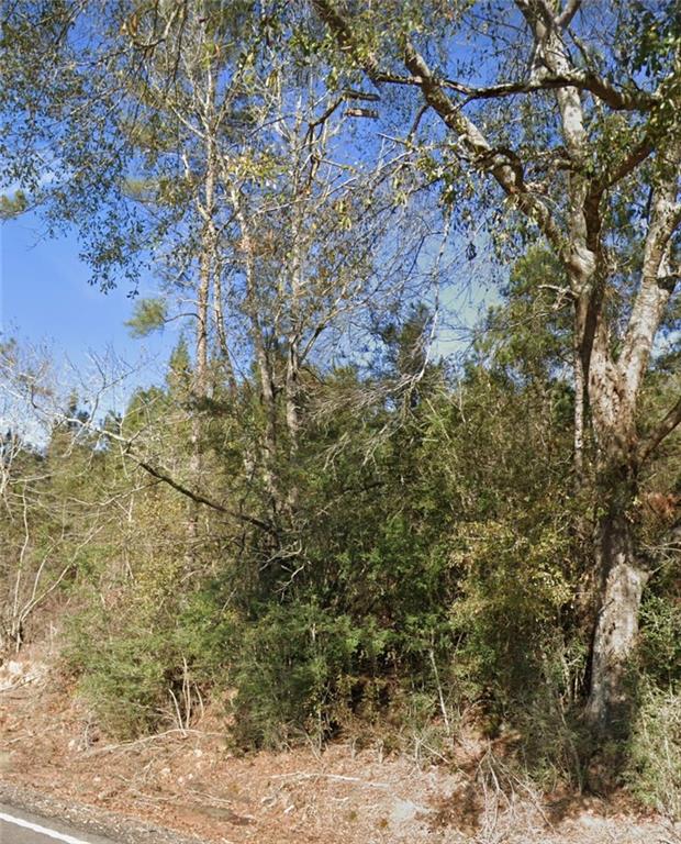 B-2 OLAN BANKSTON Road
