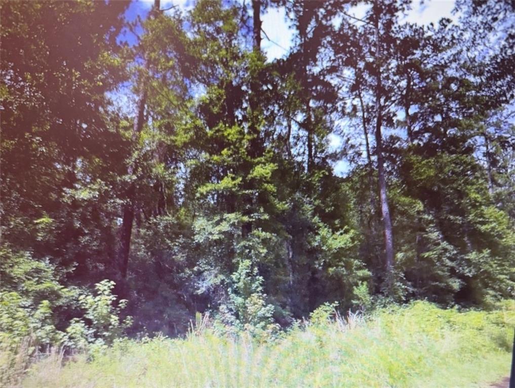 22052 ST AMAND Street