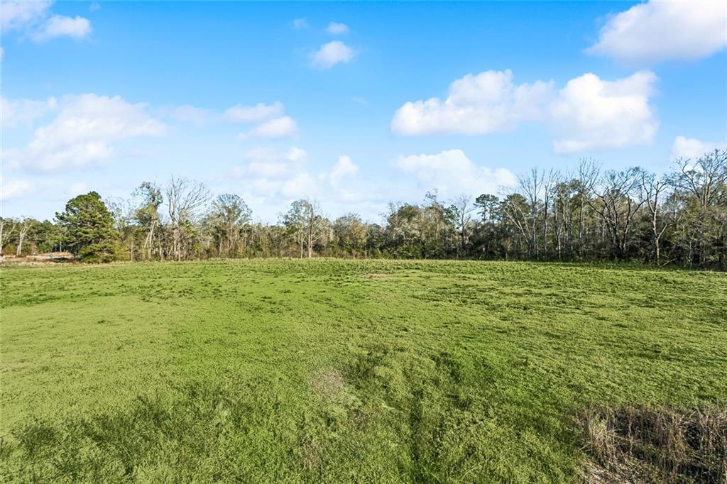 12576 GOLDENTOP Drive