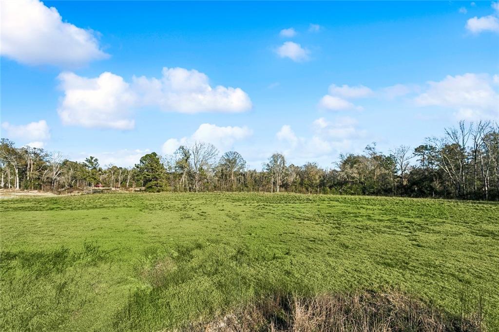 12576 GOLDENTOP Drive