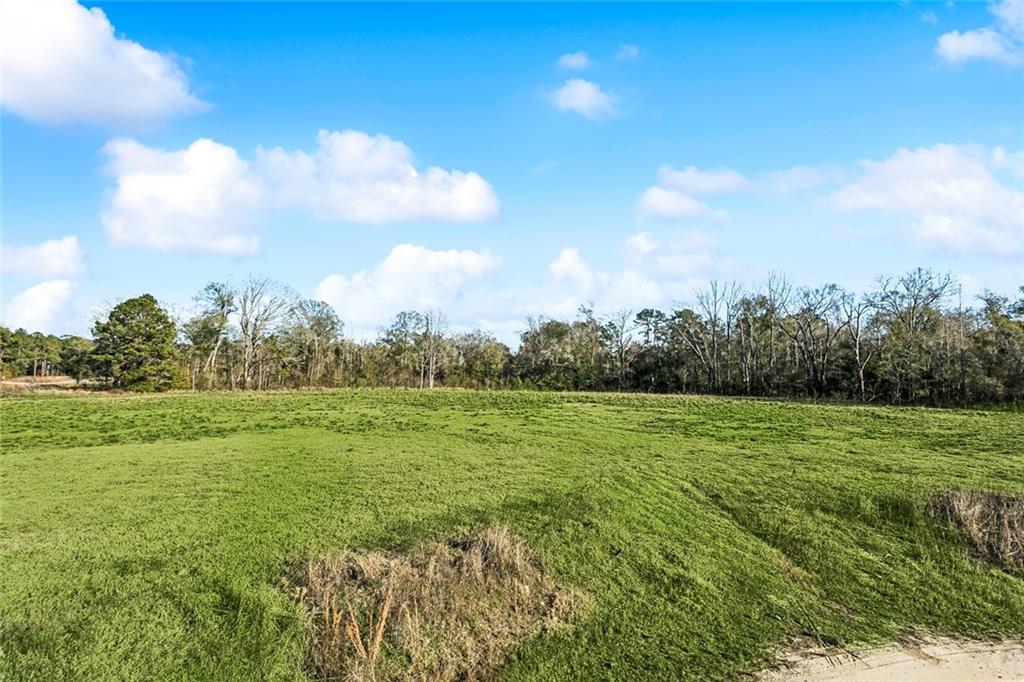 12576 GOLDENTOP Drive