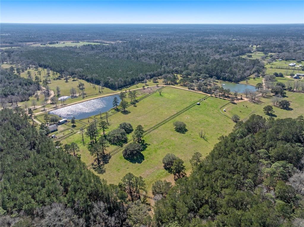 11679 HIGHWAY 40