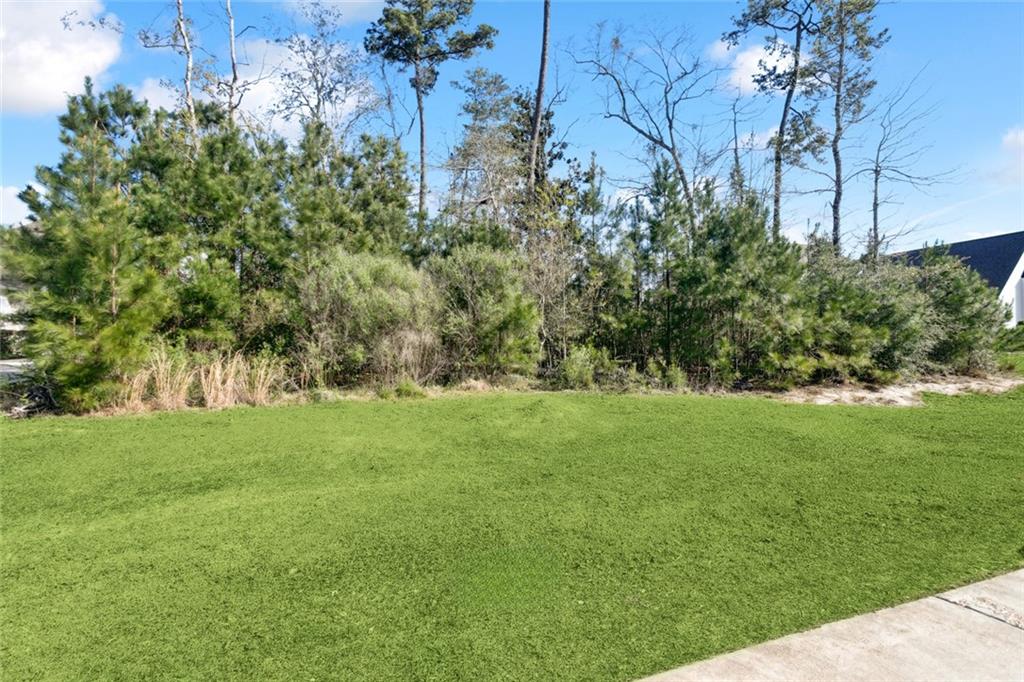 Covington, Louisiana 70433, United States, ,Land,Active,95540