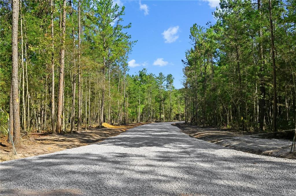 Parcel 4-A LOBLOLLY RIDGE Drive