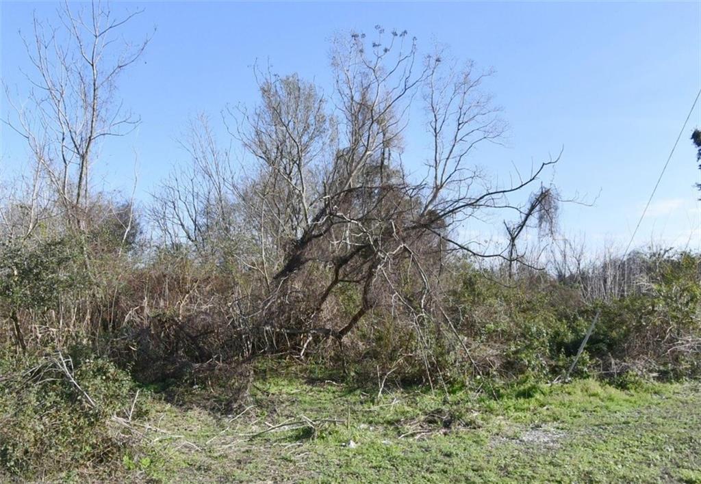 1237201 ELMWOOD PARK Drive