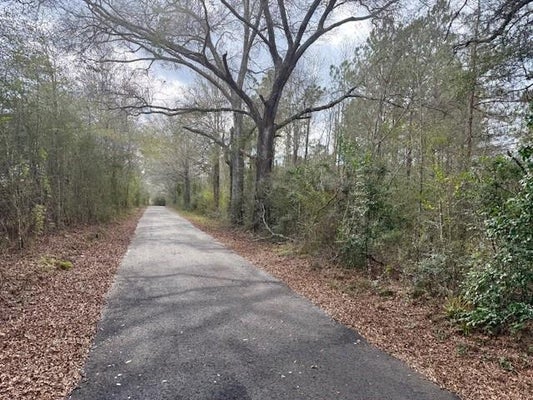 BURCH RD, MOUNT HERMON, LA 70450 - Image 9e08a5a2a883f85ef9223aaec6e2352e/2410447534