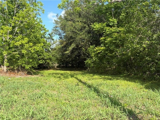 3733 SAINT FERDINAND ST, NEW ORLEANS, LA 70126 - Image 9e1fbf646852d783712d76b7748d4580/1696008686