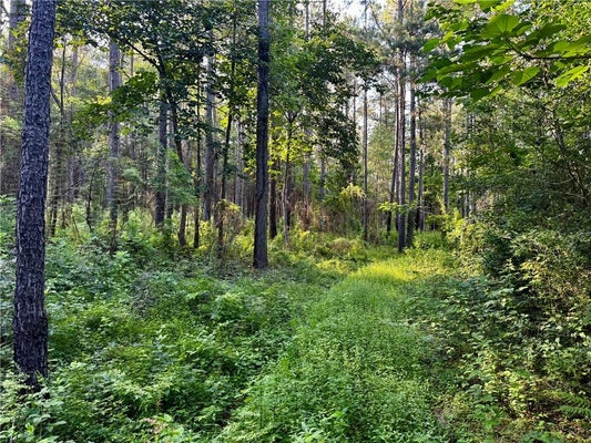 PARCEL 3 WARD LINE ROAD, BOGALUSA, LA 70427 - Image 9e9f5113c9e464c65d6cd4c98f16dae9/2233174503