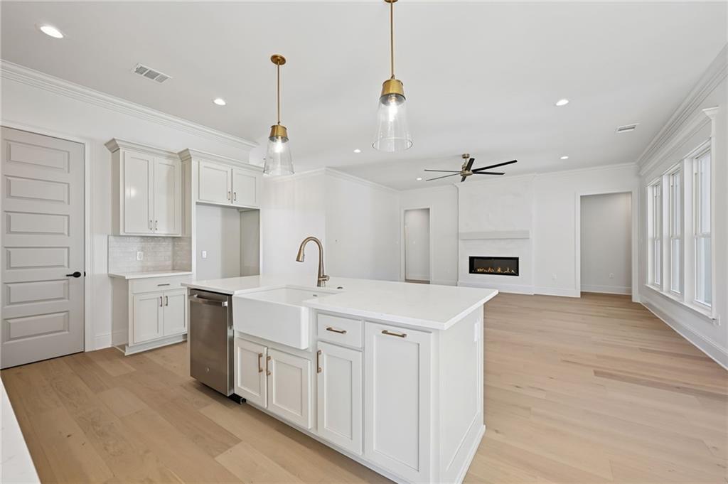 2008 WHITE DOVE Drive