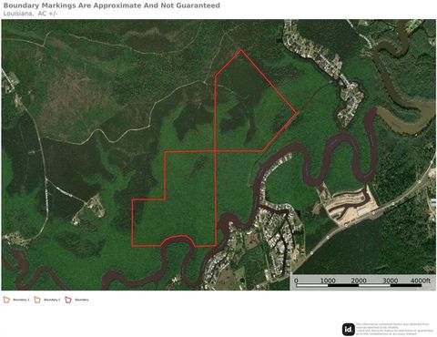 236 Acres RIVER PINES Drive Springfield LA 70462
