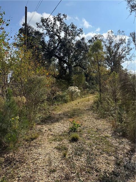 TBD PATTERSON Road Springfield LA 70462