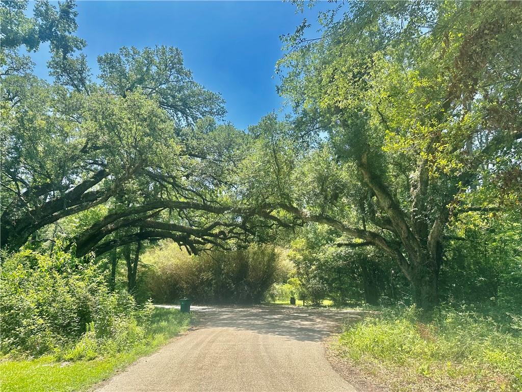 Photo 1 of 6 — HARRY LEMONS Road, Mandeville, LA 70448