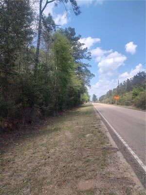 ADDRESS PRIVATE, LORANGER, LA 70446 - Image a59ece01a2cf97f1ff02aa042906793a/2203266991