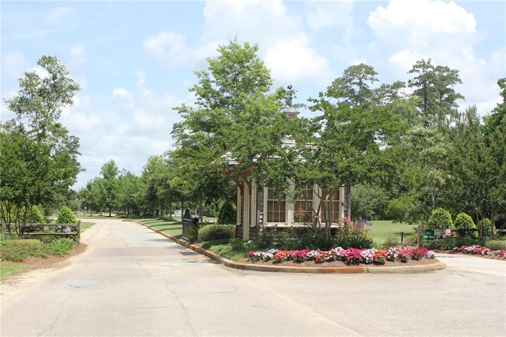 Lot 882 BALD EAGLE Circle