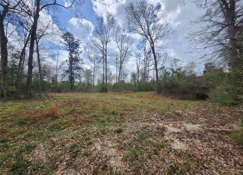 33979 HWY 441 Highway