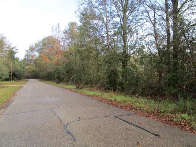 Photo 3 of 3 of 39015 BEAUREGARD Avenue land