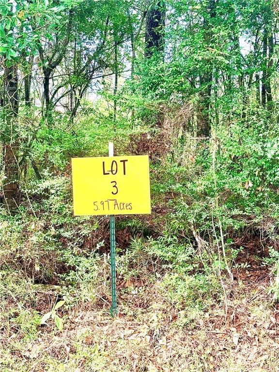 Lot3 TBD LEE Road