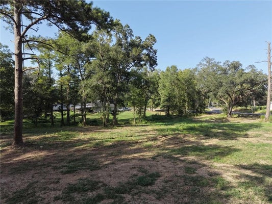 26341 S SATSUMA RD, LIVINGSTON, LA 70754 - Image a90c92bb0607a9aaa0c19f4c04439229/757434469