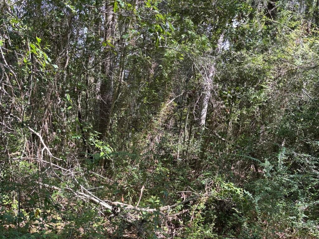 25133 HWY 190