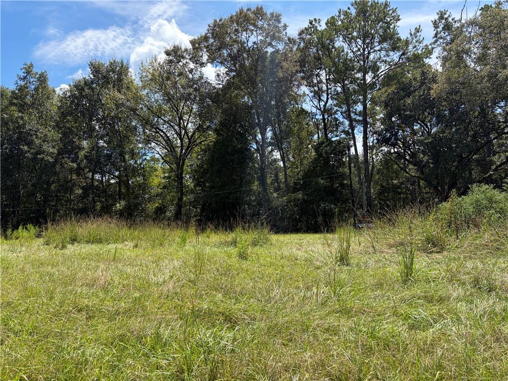 40219 Lot 2 N THIBODEAUX Road