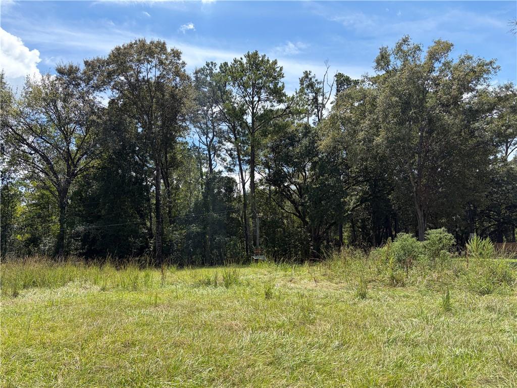 40219 Lot 2 N THIBODEAUX Road