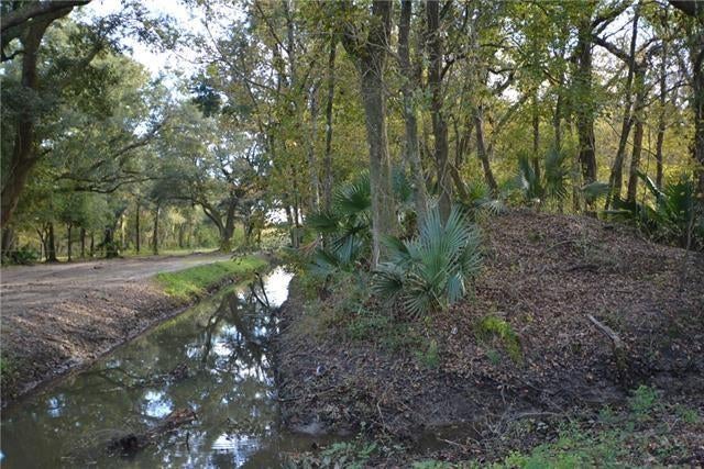 POYDRAS PLANT LOT 11