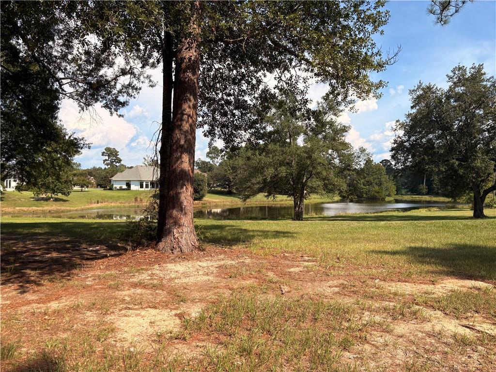 Lot 451 CHINAWOOD Drive