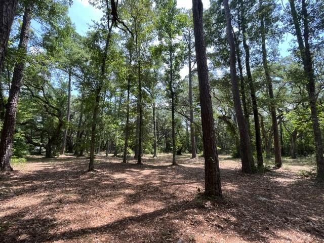 00000 LOUISVILLE Street