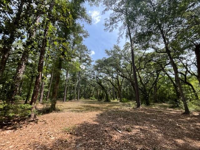 00000 LOUISVILLE Street