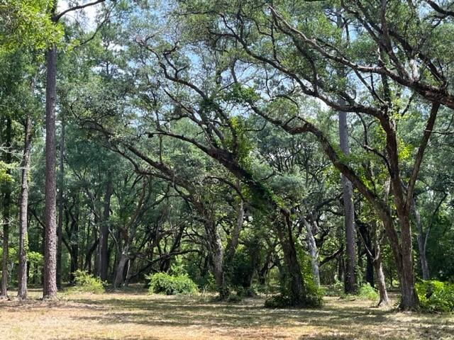 00000 LOUISVILLE Street