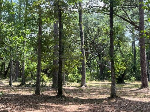 00000 LOUISVILLE Street