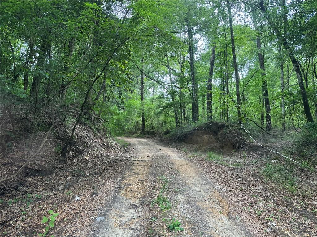 2550 ROSEMARY Road