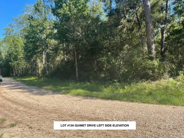 Lot #139 QUIMET Drive
